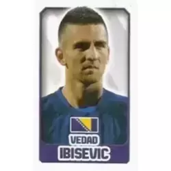 Vedad Ibišević - Bosnia & Herzegovina