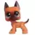 LPS 244