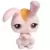 LPS 245