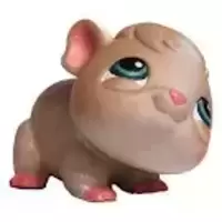 LPS 288