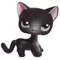 LPS 336