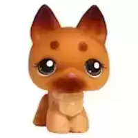 LPS 357