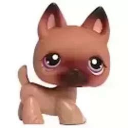 LPS 375