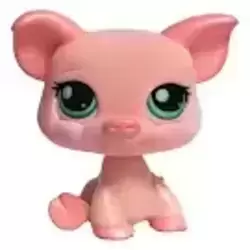 LPS 377