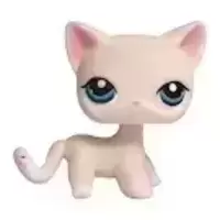 LPS 410