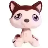 LPS 427
