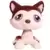 LPS 427