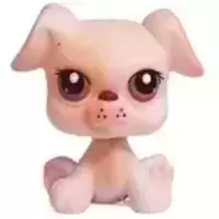 LPS 437