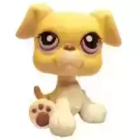 LPS 451