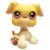 LPS 451