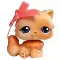LPS 453