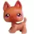 LPS 454