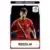 UEFA Euro Poland-Ukraine 2012 - Event Kick Off - Andrey Arshavin