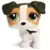 Littlest Pet shop - Generation 2 - LPS 804