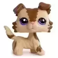 LPS 2210