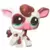 LPS 2505