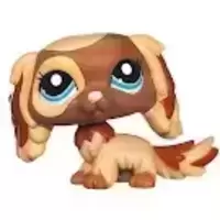 LPS 2570