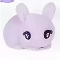 Pet Bunny