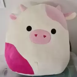 caedyn squishmallow “12