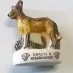 Chacal à chabraque