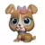 LPS 4007