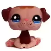 LPS 1753