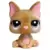 LPS 1896