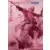 Sandor - L\'audace du corsaire