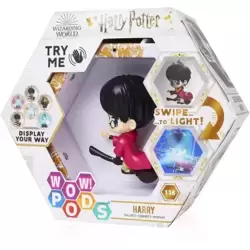 Harry Potter - Harry Potter The Seeker