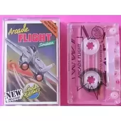 Arcade Flight Simulator