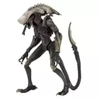 Aliens - Chrysalis Alien