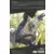 Marvel Comics - 2022 - Tome 1