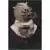 Gentle Giant Busts - Tusken Raider - Legends In 3D