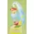 Kirby - Terrarium Swing Kirby - Waddle Dee & Kirby