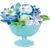 Pokemon - Floral Cup Collection 2 - Piplup