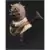 Gentle Giant Busts - Tusken Raider - Legends In 3D