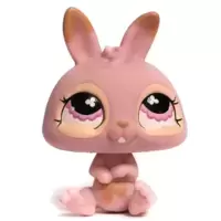LPS 667