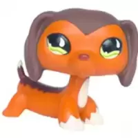LPS 675