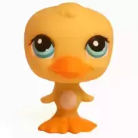 LPS 1062