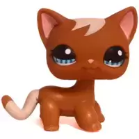 LPS 1170
