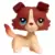 LPS 1262