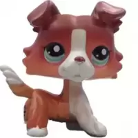 LPS 1542