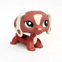 LPS 1631