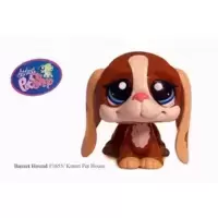 LPS 1655