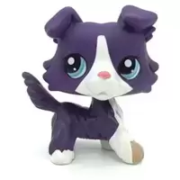 LPS 1676