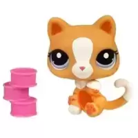 LPS 2095
