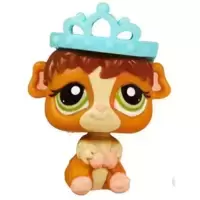 LPS 2148