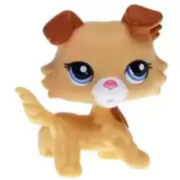 LPS 2452