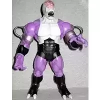 Classics Wave 15 - Validus