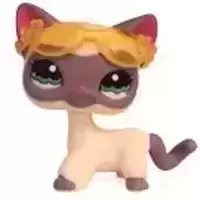 LPS 1116